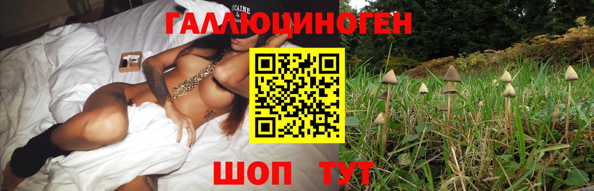 Псилоцибиновые грибы прущие грибы  что такое   Вышний Волочёк  Вход с VPN 